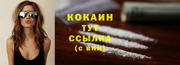 сатива Абинск