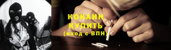 сатива Абинск