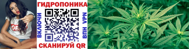 гидра онион  Энем  МАРИХУАНА White Widow 